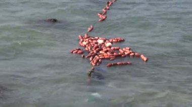 balık ağlarına şamandıra Hint Okyanusu su ile