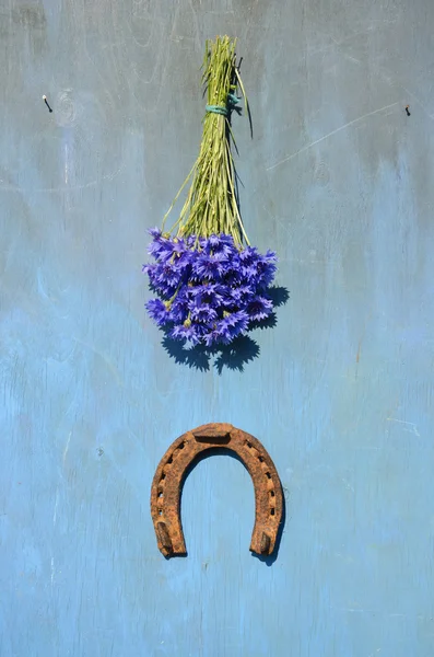 Glückssymbol altes Hufeisen und Kornblumenstrauß an Wand — Stockfoto