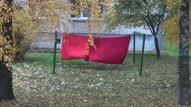 Outono no quintal da cidade e roupas de lavagem — Vídeo de Stock