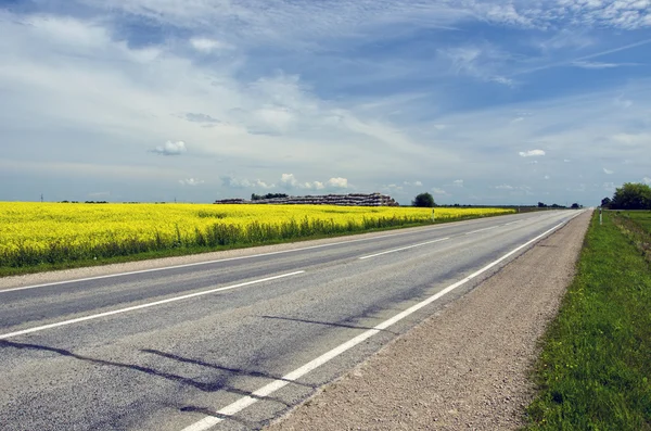 Landsbygdens asfalterad väg sommartid — Stockfoto