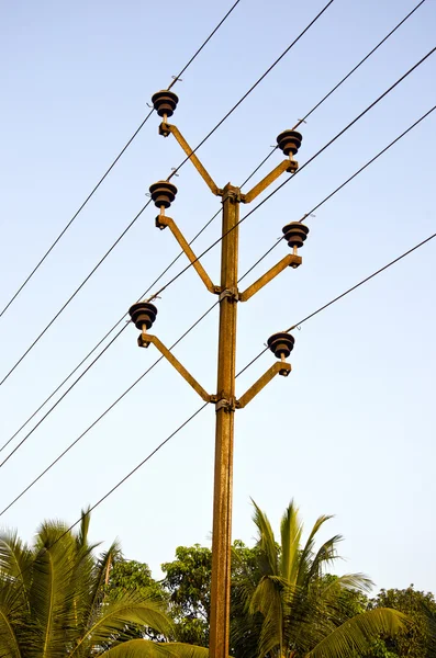 Elektrické pole a palm strom v Asii — Stock fotografie