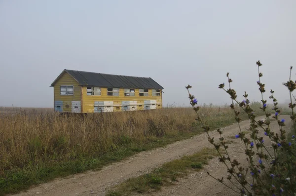Bijenteelt bijenhuis op zomer einde veld en ochtend nevel mist — Stockfoto