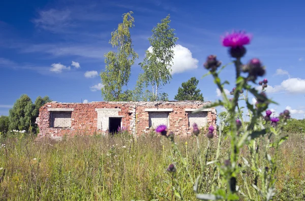 Zomertijd oude boerderij ruïnes — Stockfoto