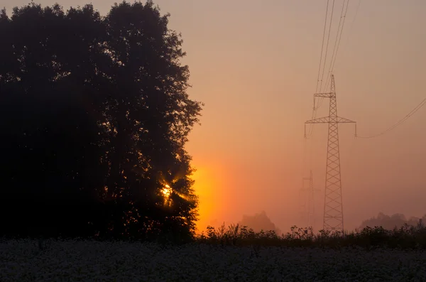 Hermoso amanecer de verano con niebla y poste de alto voltaje —  Fotos de Stock