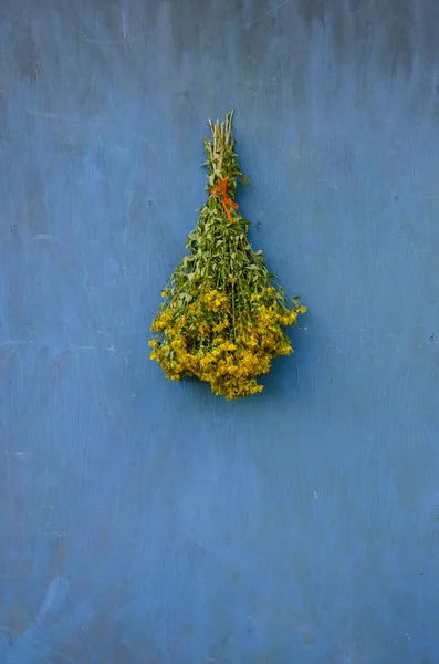 Boeket bunch st john's wort hang op houten muur — Stockfoto