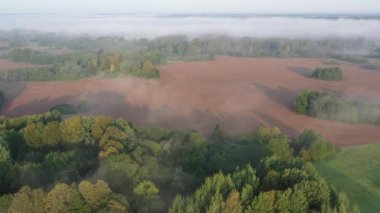 Büyülü sonbahar sabahı sisi ve bahçeli doğa parkı manzarası ve tarlalar, hava manzarası