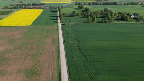 Güzel Bahar Zamanı Çakıl Yolu Buğday Kolza Tohumu Tarlaları Hava — Stok video