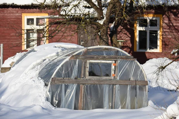 Зимнее Время Теплица Возле Фермерского Дома Снегу — стоковое фото