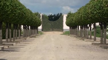 Eski malikâne parkındaki budanmış ağaçlar, uzaklaşın.
