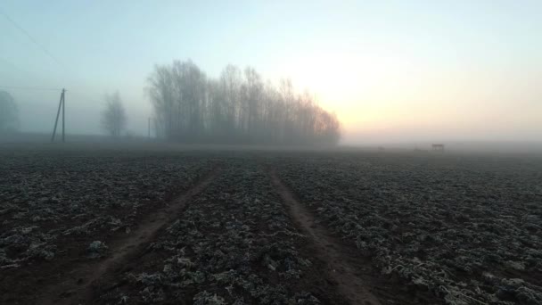 多雾的早春 农田里的日出 结霜的油菜籽 时间流逝 — 图库视频影像