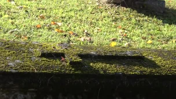 Herbst Auf Altem Verfallenen Friedhof — Stockvideo