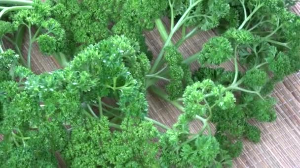 Färsk Grön Frisk Grönsak Persilja Roterande Mat Bakgrund — Stockvideo