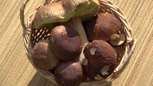 Boletus Cogumelo Boletus Edulis Grupo Girando Cesta Esteira Bambu — Vídeo de Stock