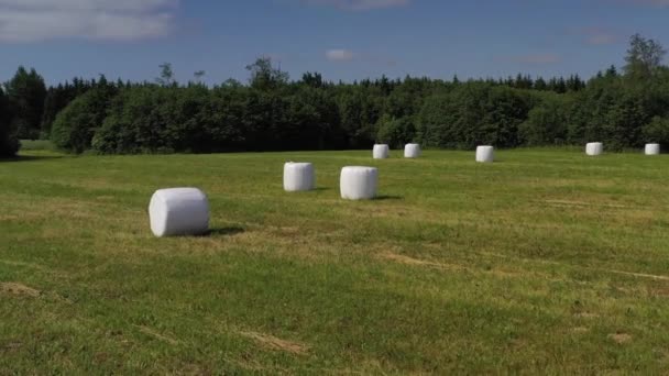 Rouleaux Foin Blanc Enveloppés Sur Prairie Agricole Vue Aérienne — Video
