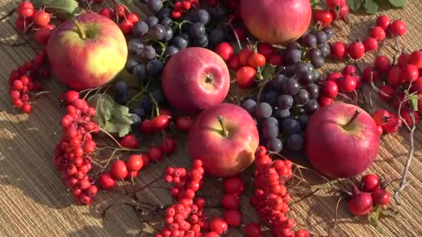 Φόντο Συγκομιδής Φθινοπωρινών Φρούτων Και Μούρων Περιστρεφόμενο Στρώμα Μπαμπού — Αρχείο Βίντεο