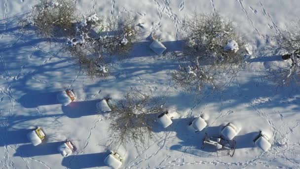 Beehives Winter Garden Animals Tracks Aerial View — Stock Video