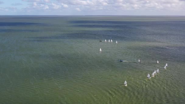 Wettbewerb Für Kleine Yachten Auf Dem Meer Luftaufnahme — Stockvideo