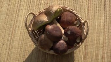 Mantar boletus boletus edulis sepette dönüyor.