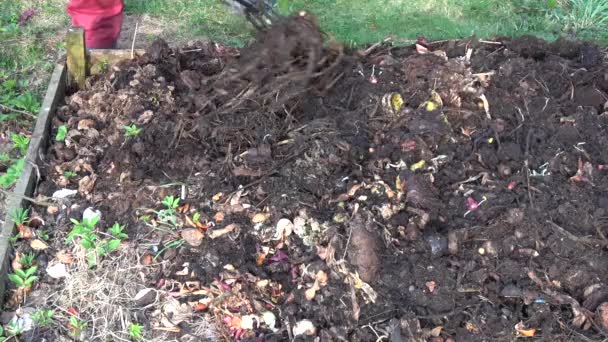 Compostagem Escavação Jardineiro Caixa Madeira — Vídeo de Stock