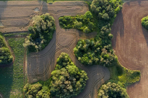 Campi Coltivati Boschetti Nel Parco Naturale Lituania Vista Aerea — Foto Stock