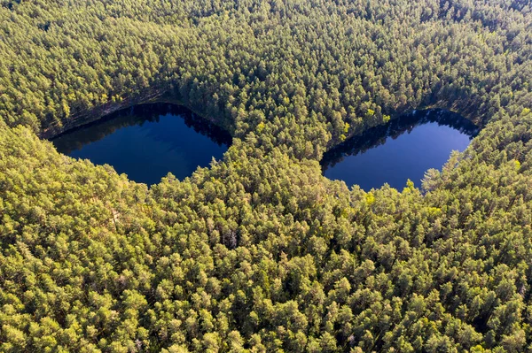 Forest face, forest eyes. Two small lakes in forest, Lithuania, aerial view