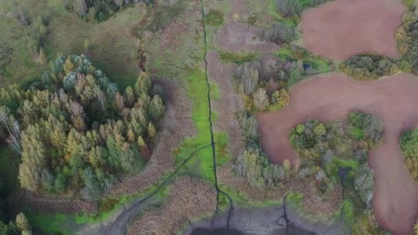 Beau Paysage Automne Drone Dans Parc Naturel Lituanie — Video