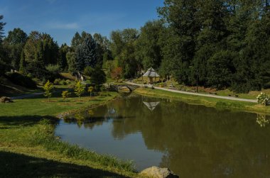 Parktaki gölet