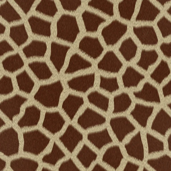 Giraffe fur (skin) background or texture — Stock Photo, Image