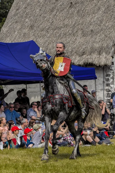 Chorzów, Polska, 9 czerwca: średniowieczny rycerz na koniu podczas iv — Zdjęcie stockowe