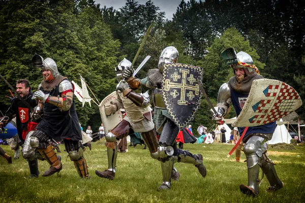 霍茹夫、 波兰、 6 月 9 日： 在中世纪骑士冲锋的 免版税图库照片
