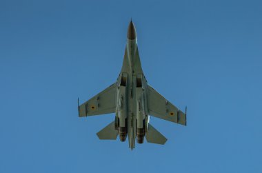 Ukraynalı su-27 ekran sırasında radom air show 2013