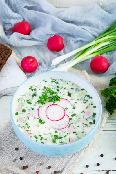 Yoğurt ve sebzeli soğuk yaz çorbası. Geleneksel Rus soğuk çorbası okroshka