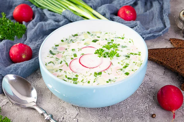 Summer cold soup with yogurt and vegetables. Traditional russian cold soup okroshka
