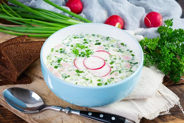 Summer Cold Soup Yogurt Vegetables Traditional Russian Cold Soup Okroshka — Stock Photo, Image