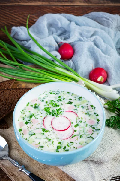 Letnia Zimna Zupa Jogurtem Warzywami Tradycyjna Rosyjska Zimna Zupa Okroshka — Zdjęcie stockowe