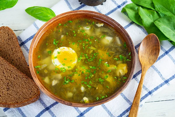 Sorrel Soup Bowl Traditional Russian Green Soup Sorrel Immagini Stock Royalty Free