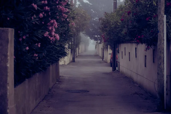 Little Street a Foggy Day — Stock Photo, Image