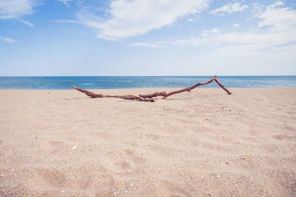 Середземне море в яскравий літній день — стокове фото