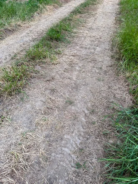 Empty Dirt Road Straw Paddy Field Countryside Thailand Front View — 스톡 사진