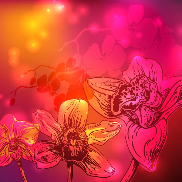 Rainbow orkidé blommor, stjärnor och ljus bakgrund — Stockfoto