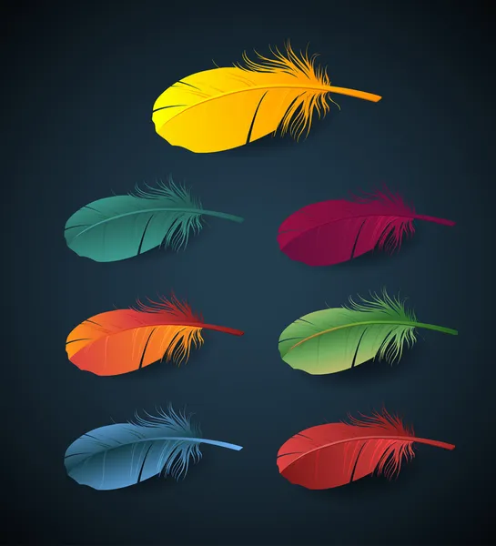 Векторные красочные перья спринд-птицы — стоковый вектор