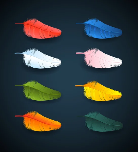 Векторні барвисті пір'я спринцювального птаха — стоковий вектор