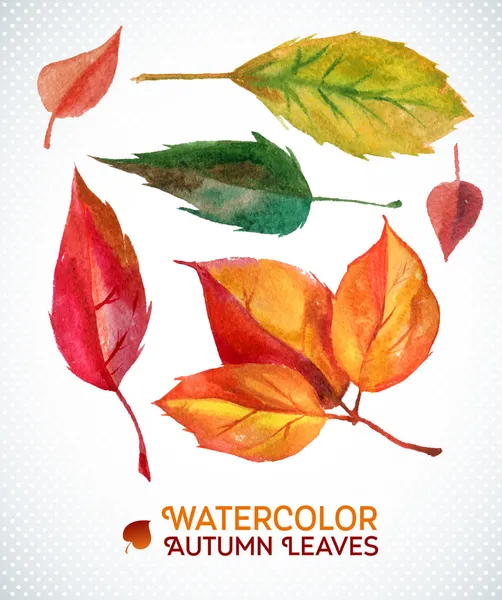 Watercolor autumn leaf set. Vector illustration Collection of watercolor hand drawn leaves. — Stock Vector