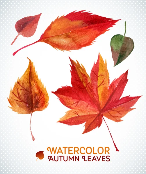 水彩画の秋の葉を設定します。水彩手描き葉のベクトル イラスト集. — ストックベクタ