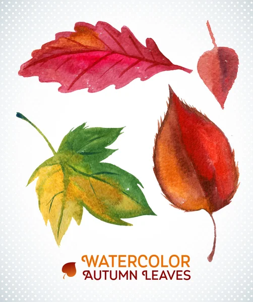 Watercolor autumn leaf set. Vector illustration Collection of watercolor hand drawn leaves. — Stock Vector