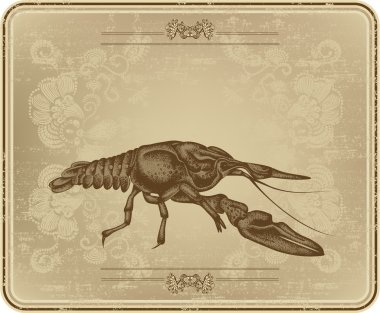 vintage çerçeve ve kerevit, el çizimi, vektör ile menü.