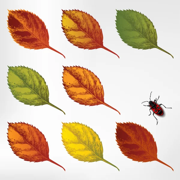 Satz farbenfroher Herbstblätter, Handzeichnung. Vektorillustration. — Stockvektor