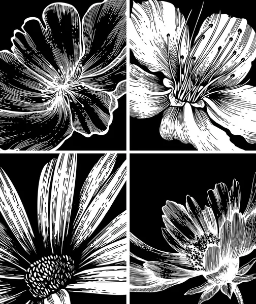 集合的花卉背景，手绘图。矢量 illustrat — 图库矢量图片