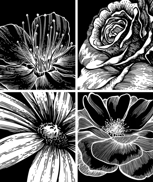 Hintergrund-Set mit Blumen, Handzeichnung. Vektorillustrationen — Stockvektor