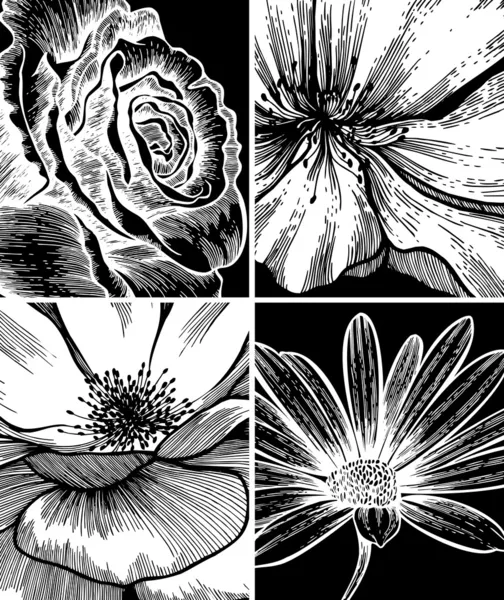 Conjunto de fondos florales, dibujo a mano. Ilustración vectorial . — Archivo Imágenes Vectoriales